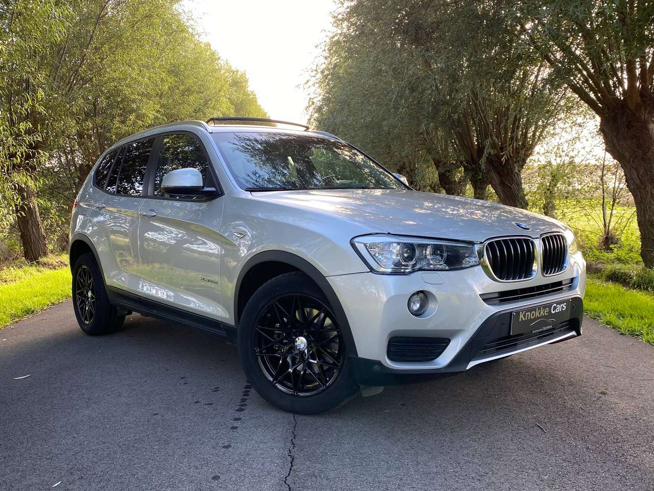 BMW X3 2.0 d xDrive20,Leder,Trekhaak,4X4,panoramisch open dak