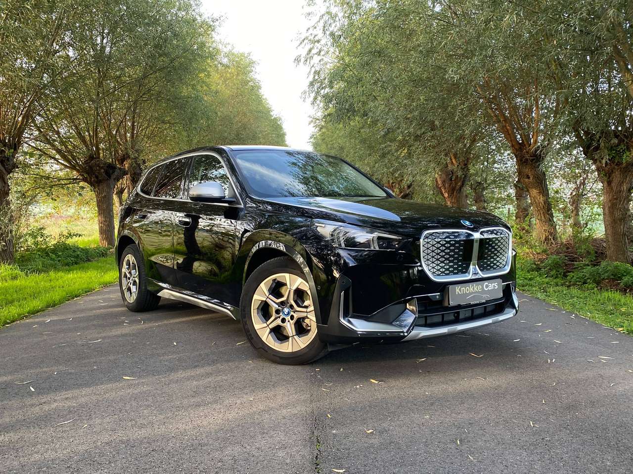 BMW iX1 X-Drive30,Leder,Camera,Gps,Privacy Glass,Parkassist voor en achter,Elektrische koffer,Led koplichten,