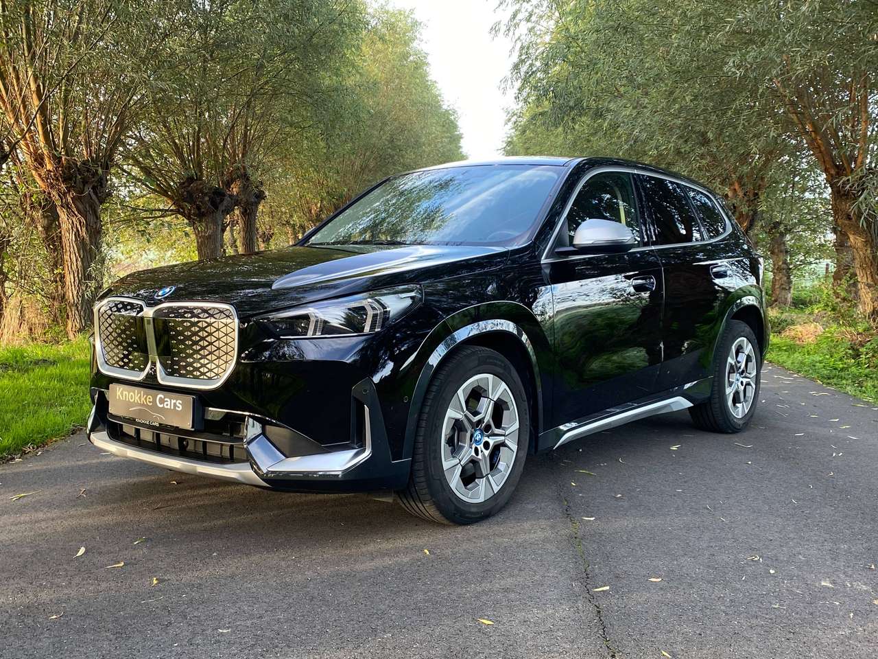 BMW iX1 X-Drive30,Leder,Camera,Gps,Privacy Glass,Parkassist voor en achter,Elektrische koffer,Led koplichten,