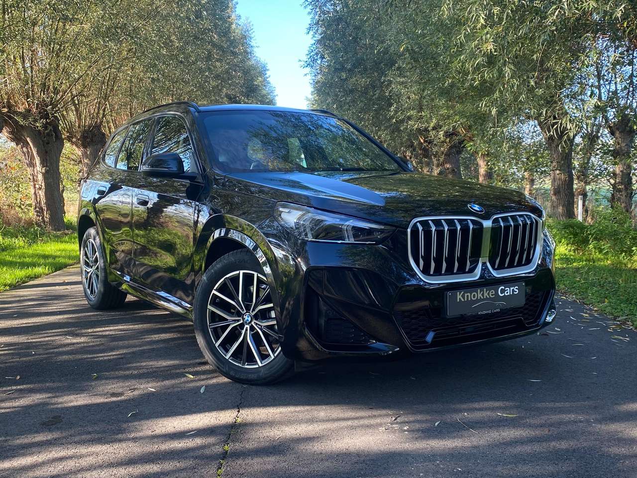 BMW X1 M-Sportpack,Sportzetels,Trekhaak elektr wegklapbaar,Parkassist met camera,Driveassist,Led Lichten,