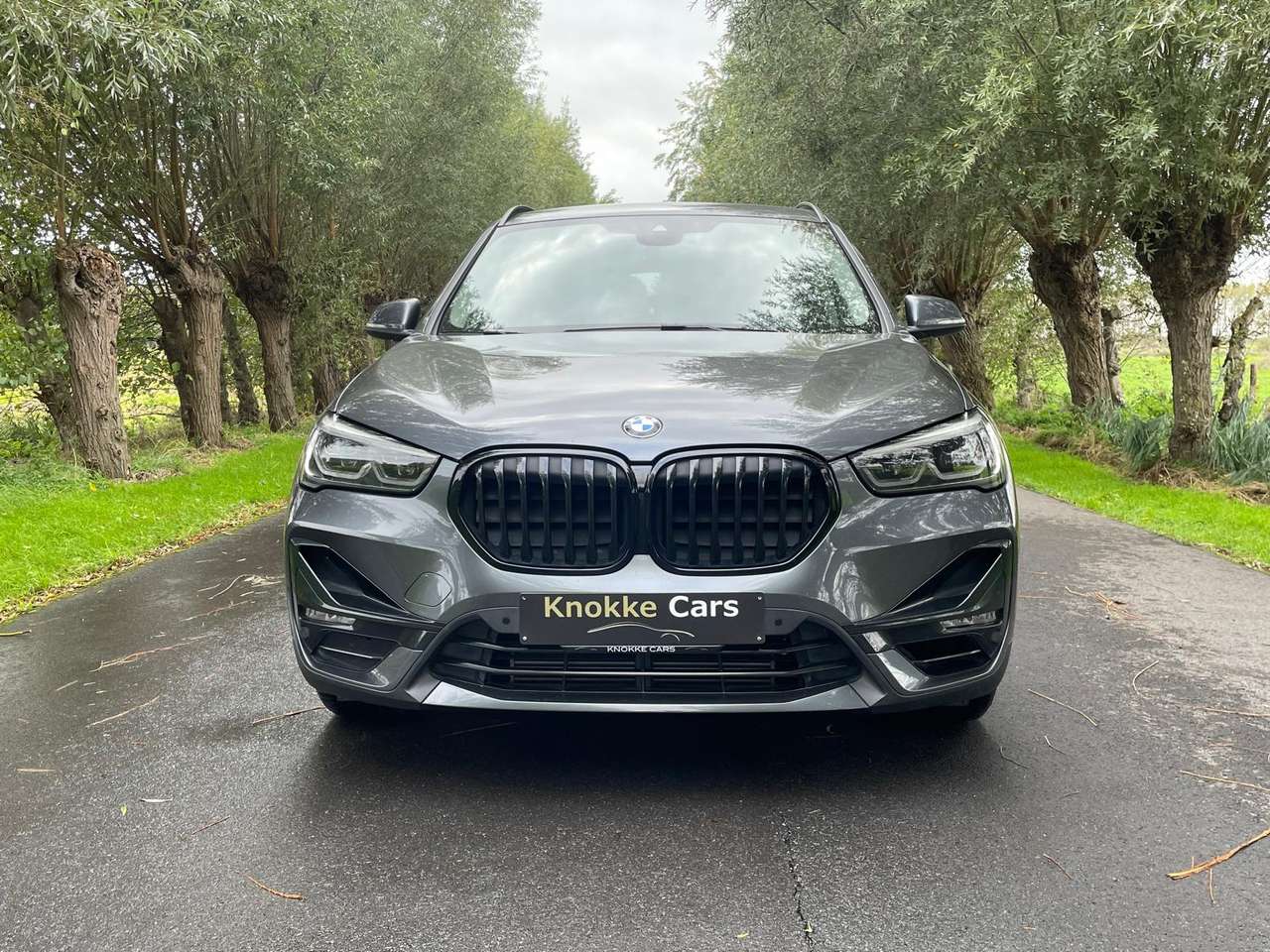 BMW X1 Plug in Hybrid,X-Drive 25e Sportline,Sportzetel,Parkeerhulp met camera,Trekhaak